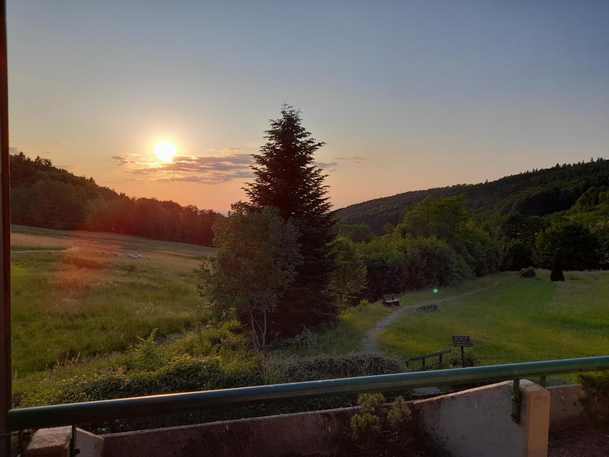 Schwarzwald Pur Διαμέρισμα Sasbachwalden Εξωτερικό φωτογραφία