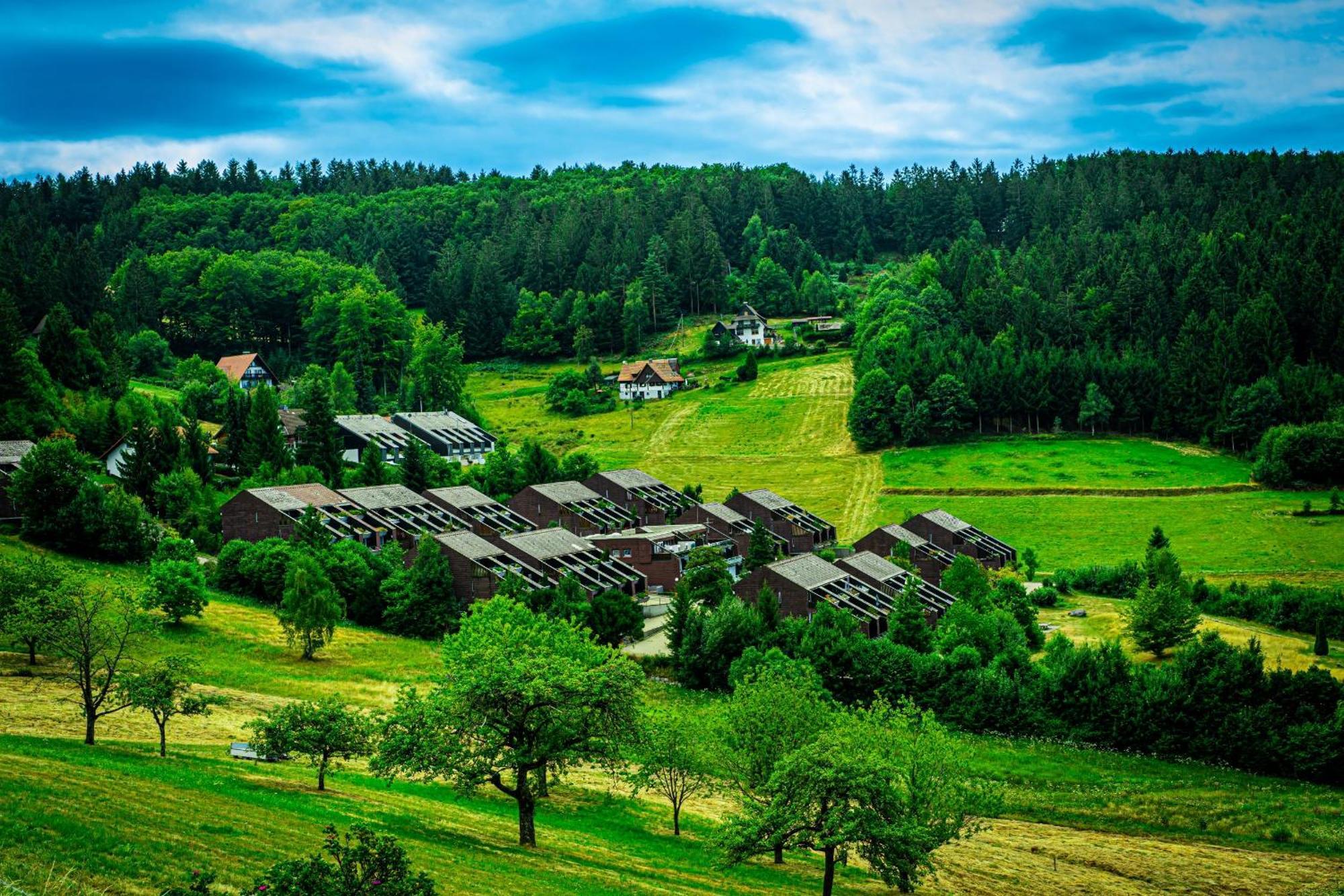 Schwarzwald Pur Διαμέρισμα Sasbachwalden Εξωτερικό φωτογραφία